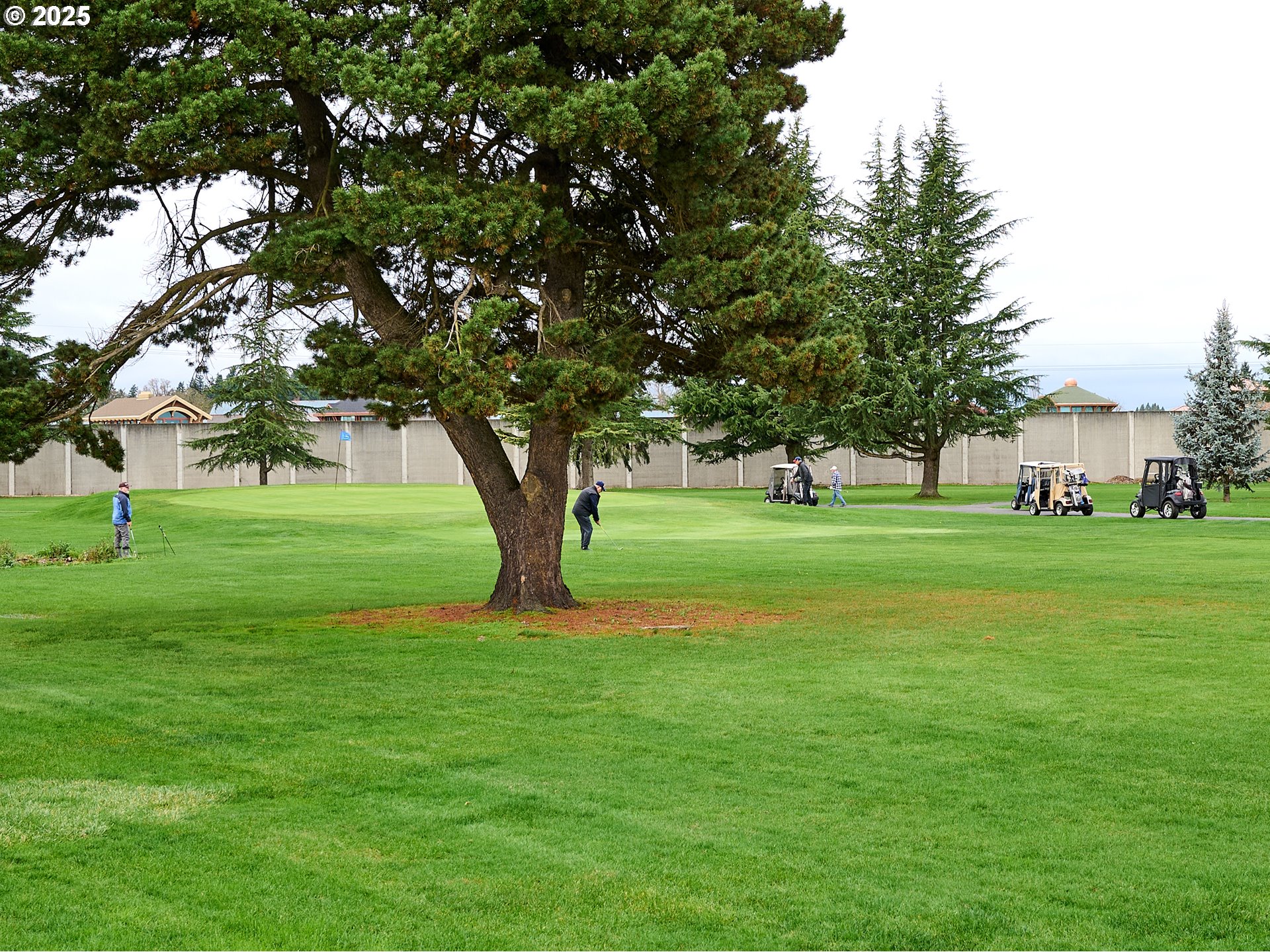 2135 Country Club Terrace Woodburn, OR 97071 - Photo 30 of 36 a view of a trees in a park