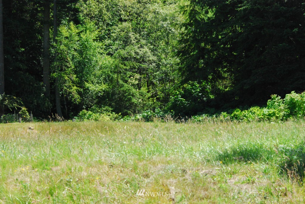272 Goss Road Port Townsend, WA 98368 - Photo 7 of 8 Gallery Image 7