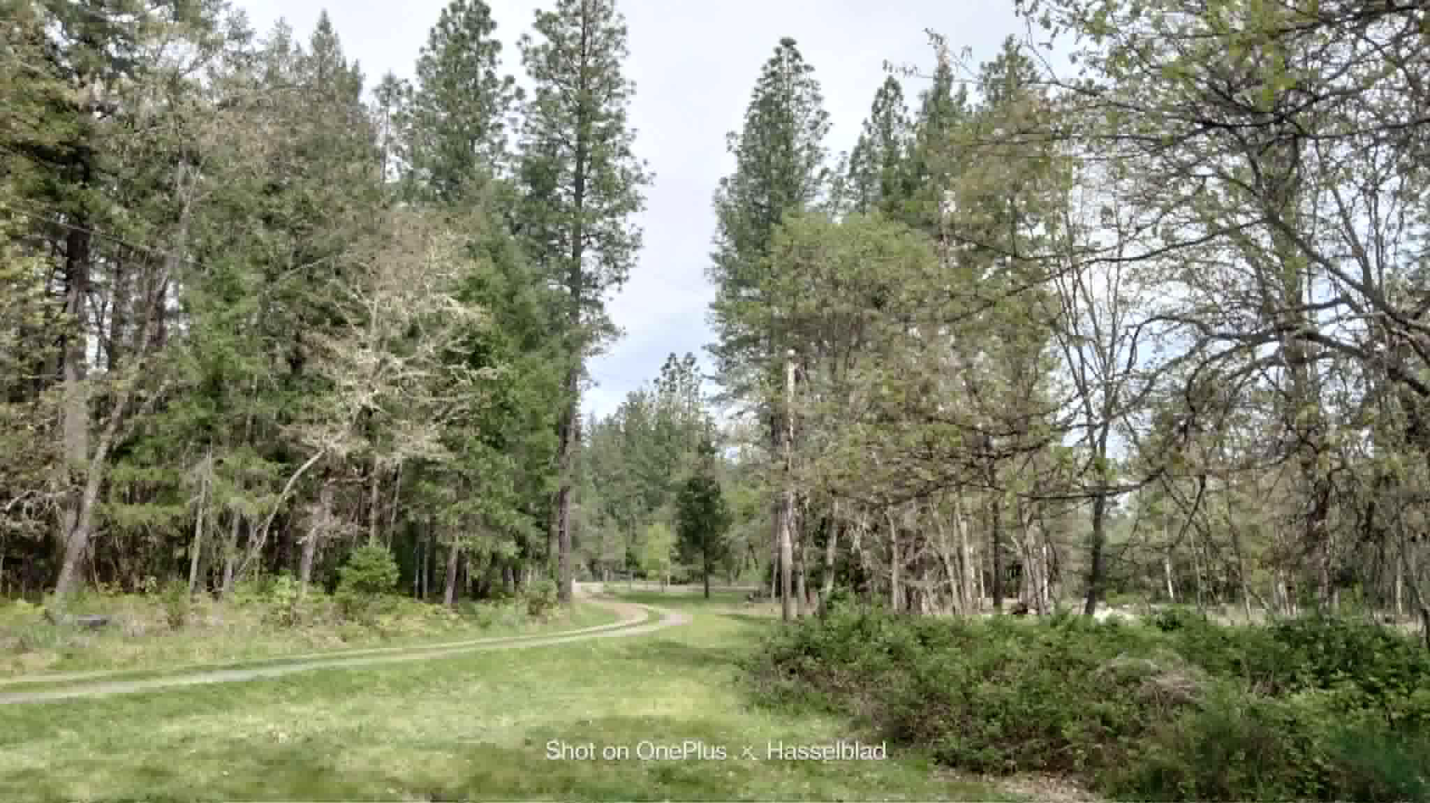 575 Kirkham Road Cave Junction, OR 97523 - Photo 5 of 45 a view of a park