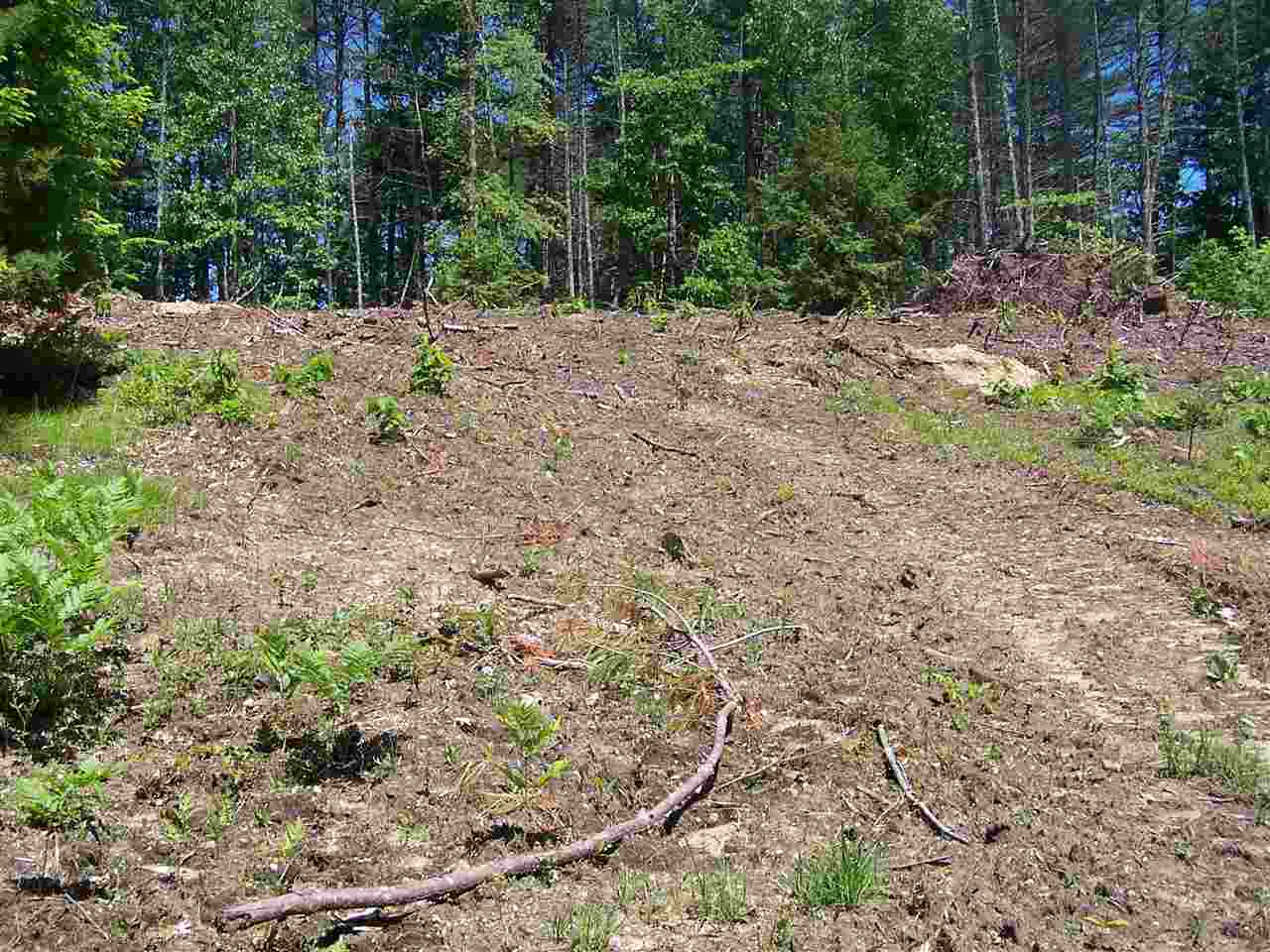 6 Nissit Road Brookline, NH 03033 - Photo 3 of 4