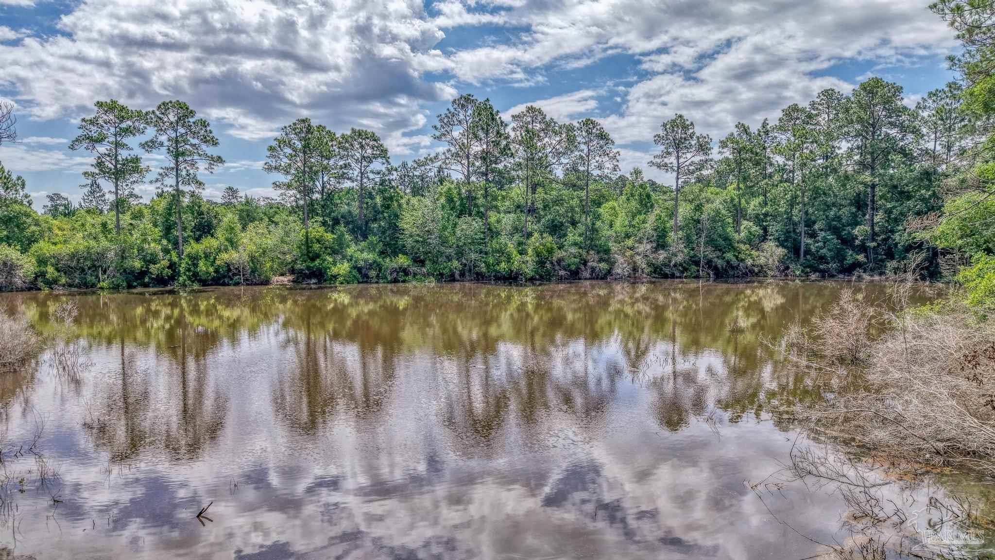 4997 Timber Ridge Drive Pace, FL 32571 - Photo 49 of 49