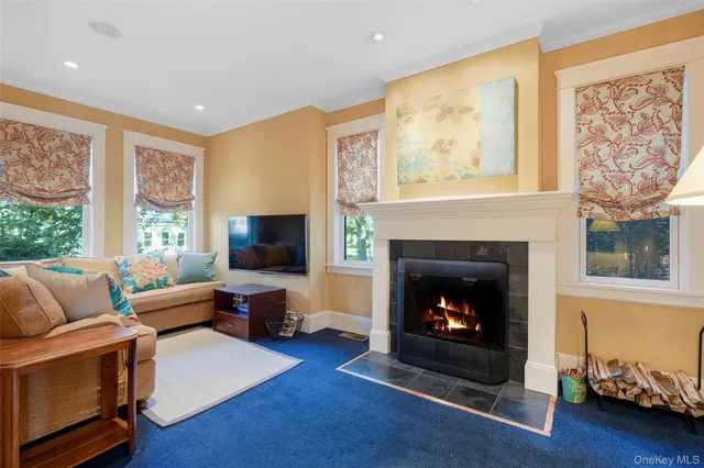 a living room with furniture a flat screen tv and a fireplace