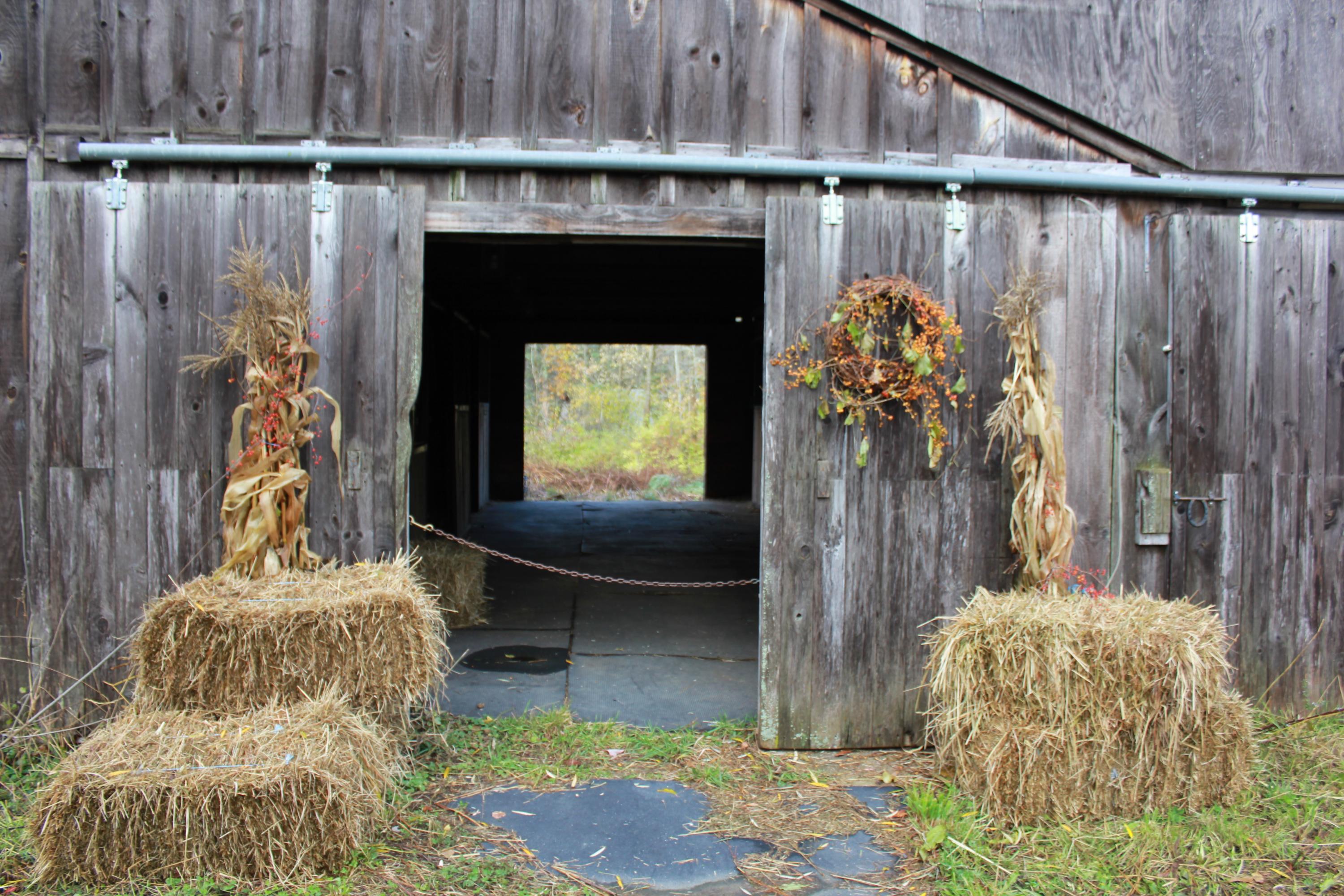 272 River Road Buxton, ME 04093 - Photo 33 of 37 IMG_0982