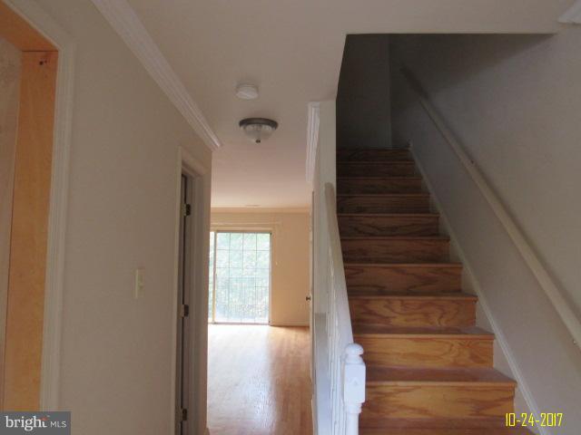 3722 Ferrara Drive, Unit 6 Silver Spring, MD 20906 - Photo 6 of 13 Interior (General)