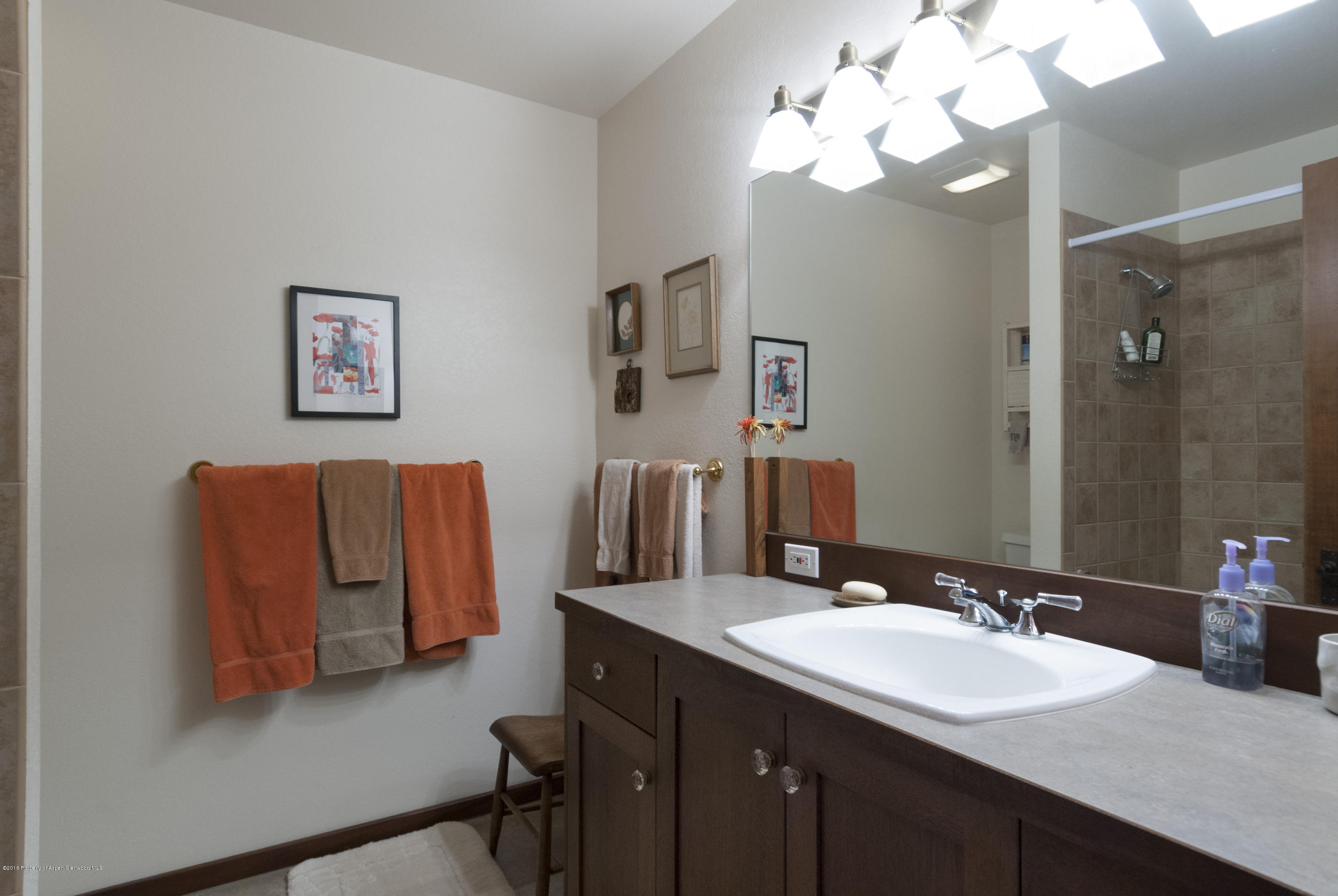 550 Wooden Deer Road Carbondale, CO 81623 - Photo 19 of 21 a bathroom with a sink vanity and a mirror