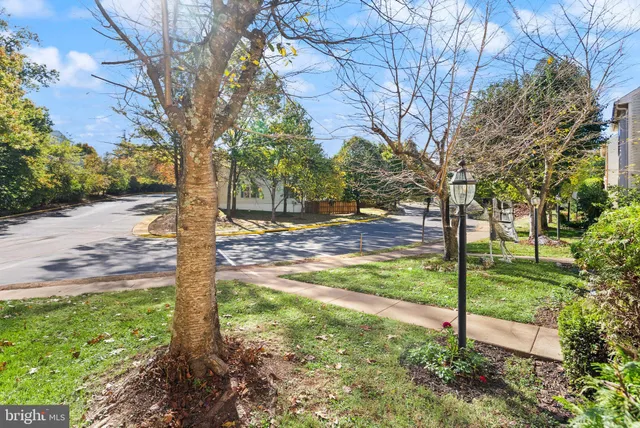 a view of a yard with a tree
