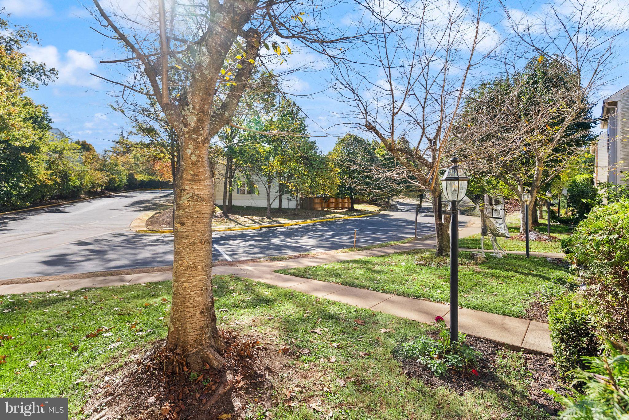 20544 Morningside Terrace Sterling, VA 20165 - Photo 3 of 54 a view of a yard with a tree
