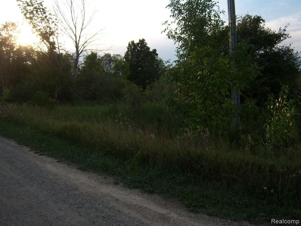 9 A Charles Huff Road Howell, MI 48855 - Photo 4 of 7 view