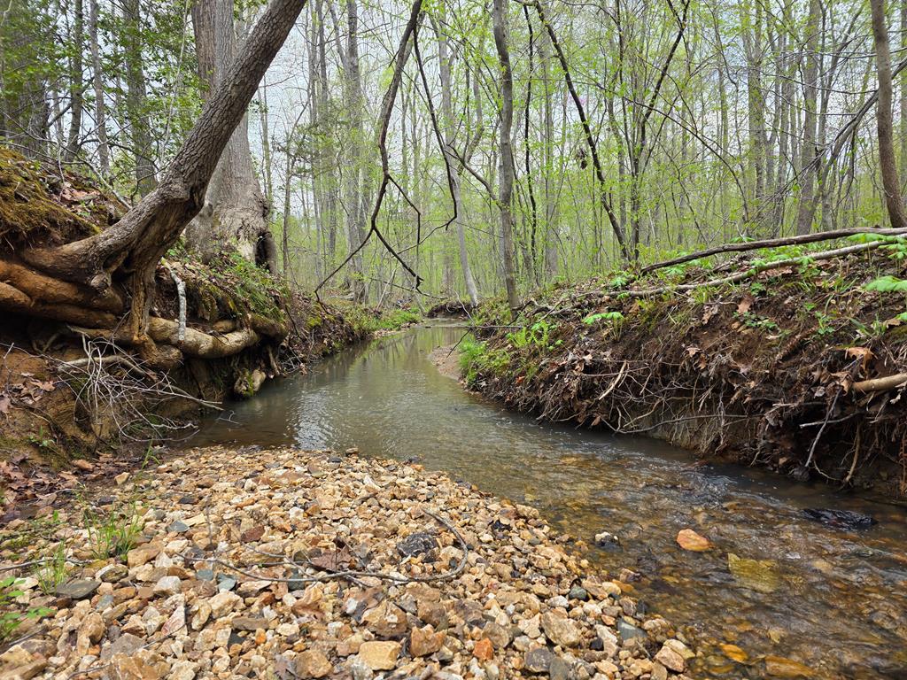 Spring Grove Road Spout Spring, VA 24593 - Photo 1 of 9 Gallery Image 1