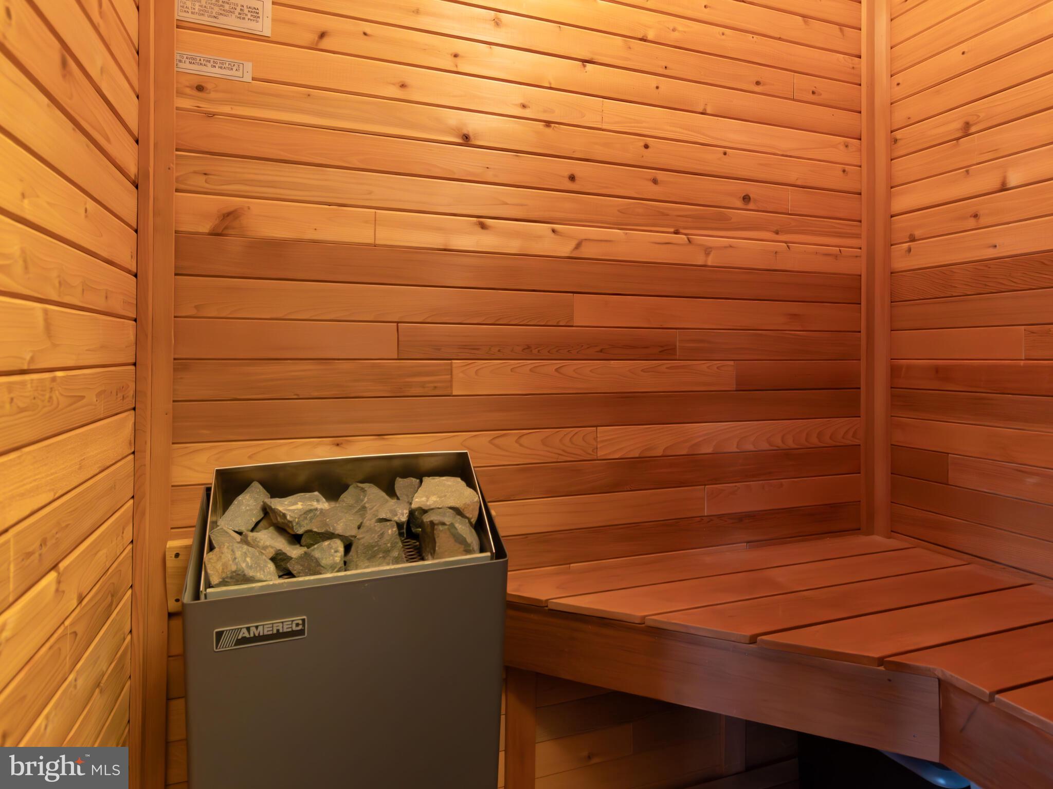 9191 Deepwater Point Road St. Michaels, MD 21663 - Photo 56 of 103 Primary Bedroom Sauna