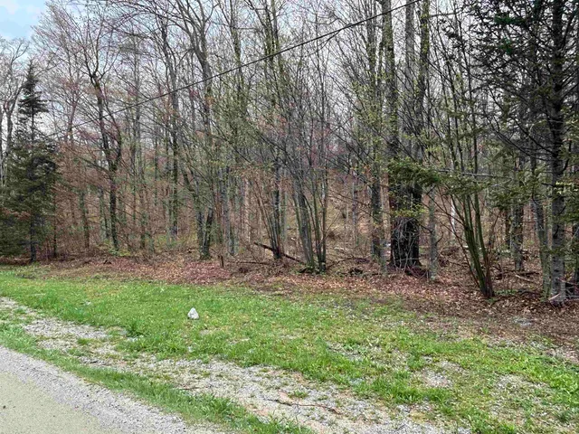 $80,000 | 0 North Hill Road, Andover, VT 05143