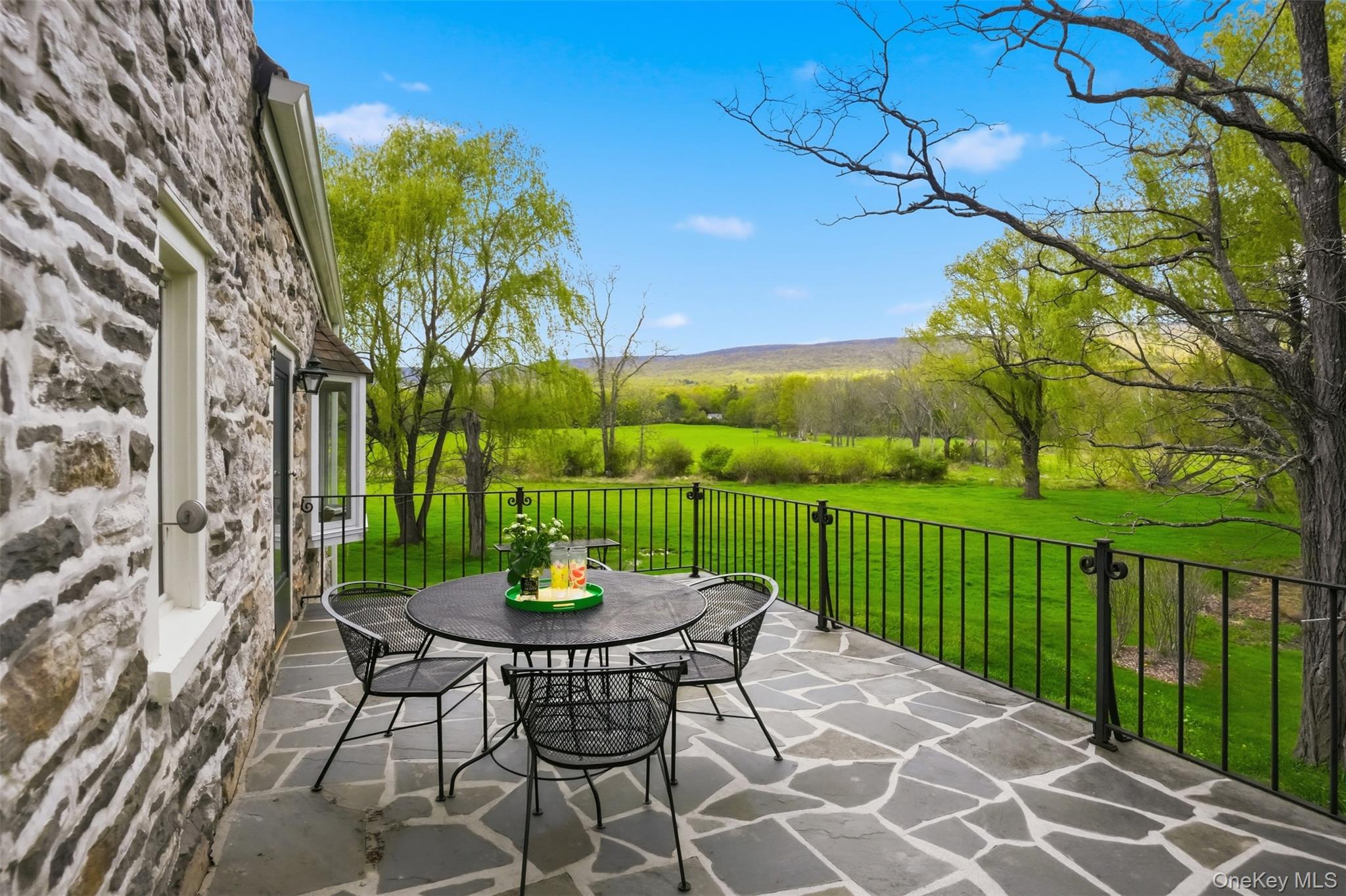 510 Decker Road Wallkill, NY 12589 - Photo 18 of 48 Rear patio