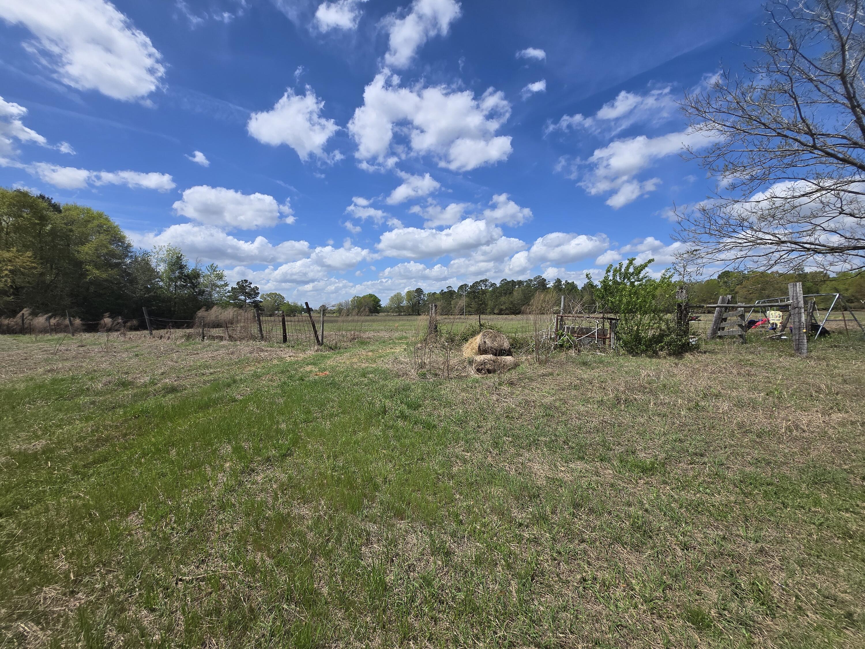 C10 Fellowship Road Williston, SC 29853 - Photo 3 of 3