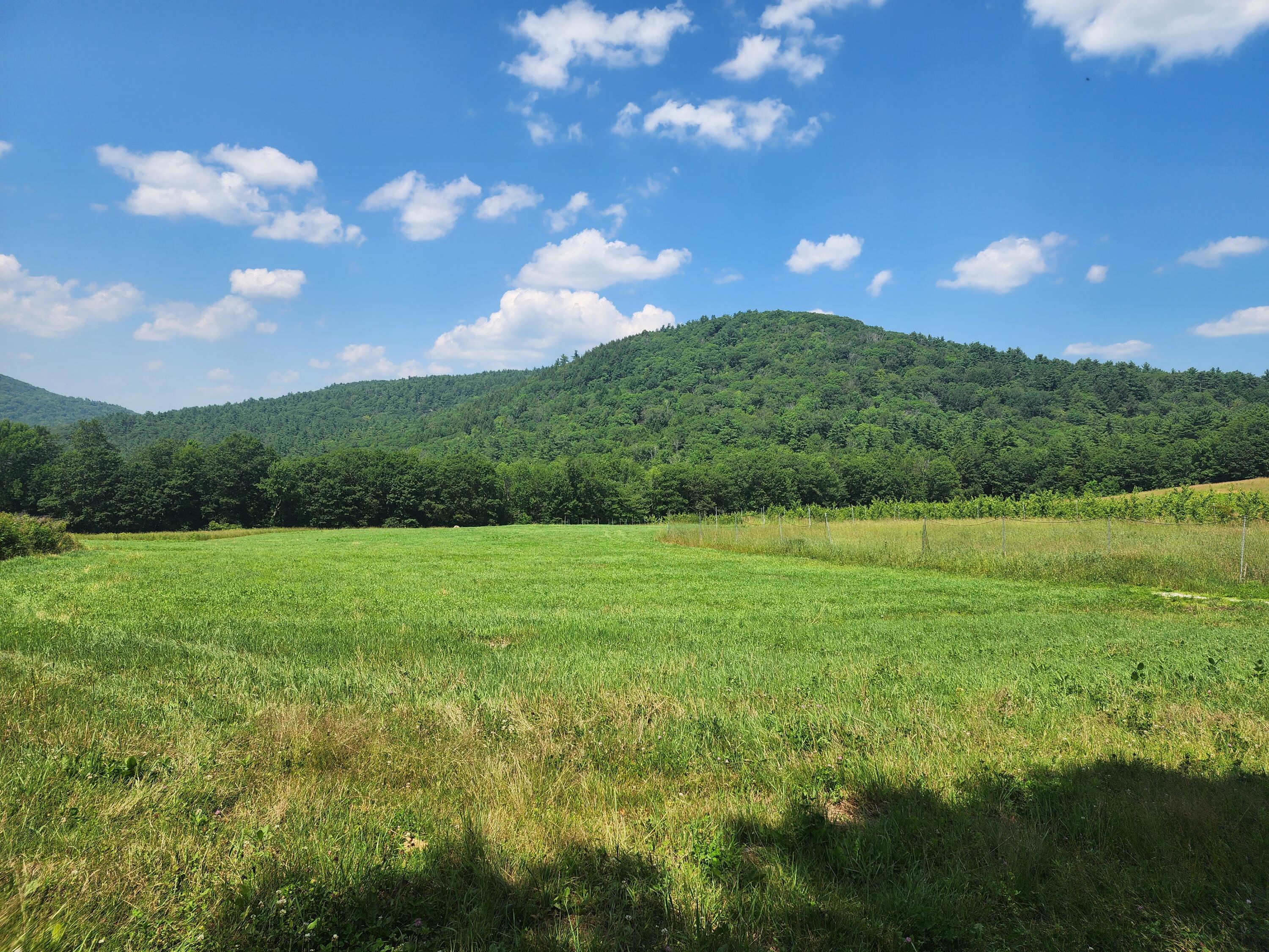 0 Sawyer Mountain Road Limerick, ME 04048 - Photo 11 of 17 20250716_141042