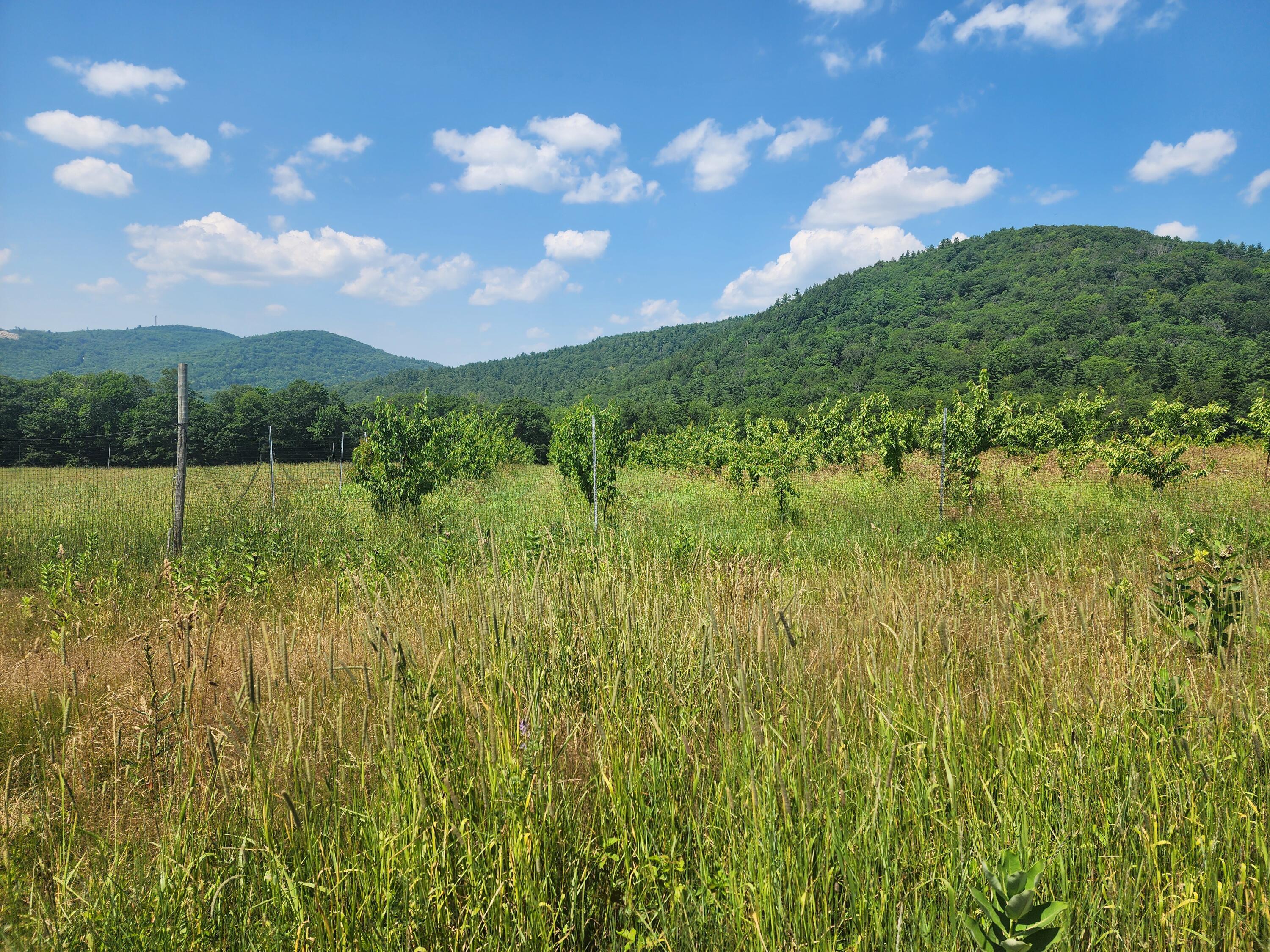 0 Sawyer Mountain Road Limerick, ME 04048 - Photo 13 of 17 20250716_141101