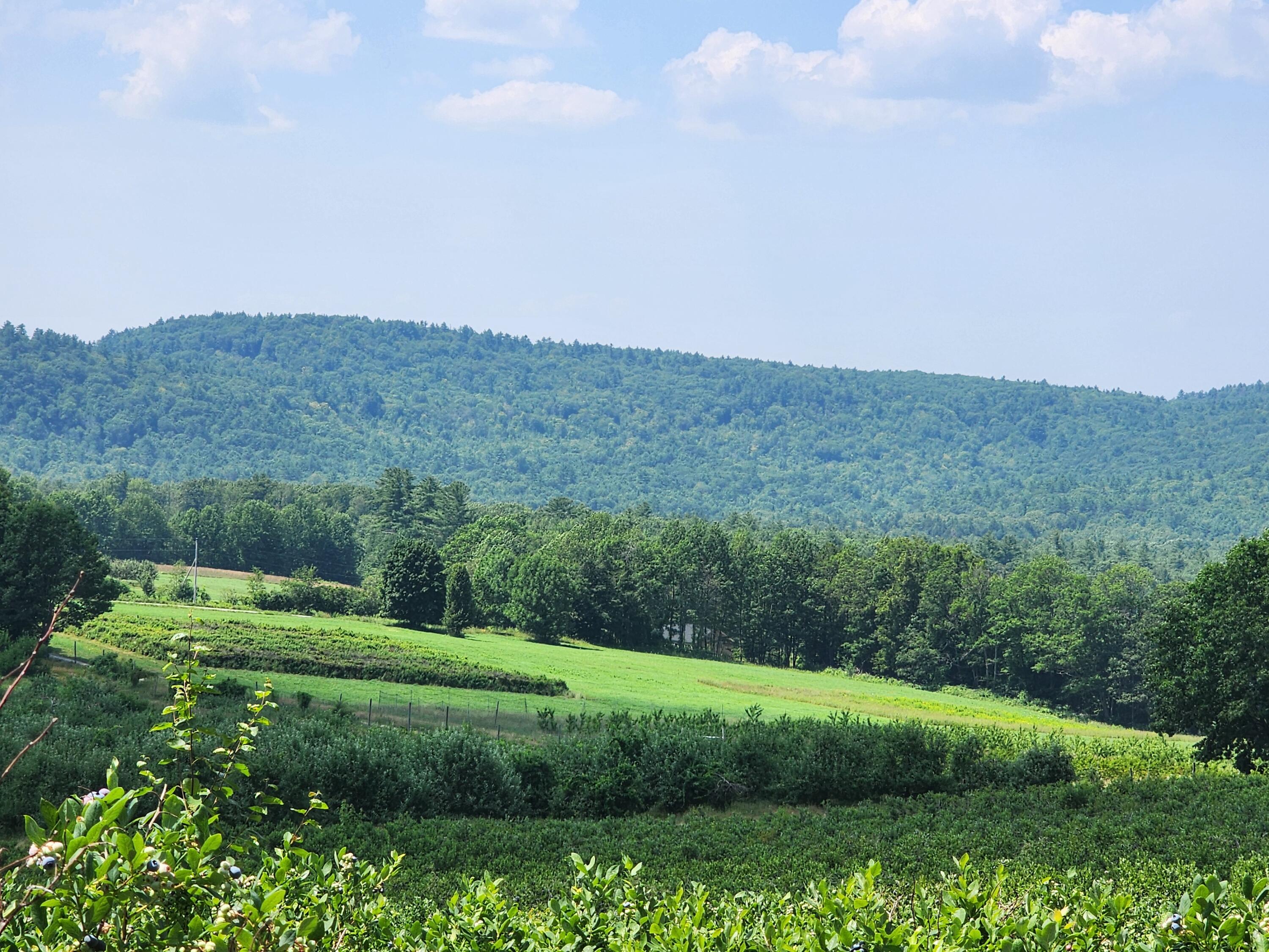 0 Sawyer Mountain Road Limerick, ME 04048 - Photo 2 of 17 20250716_134322