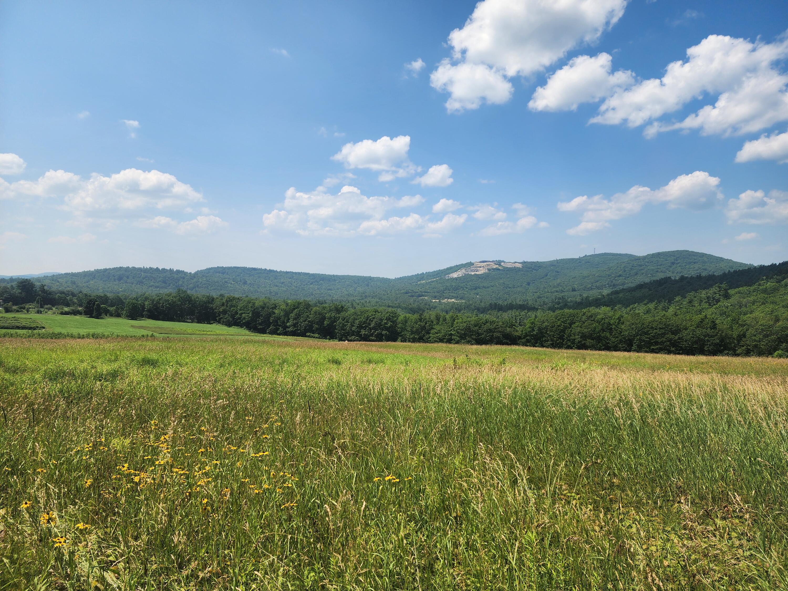 0 Sawyer Mountain Road Limerick, ME 04048 - Photo 3 of 17 20250716_135121