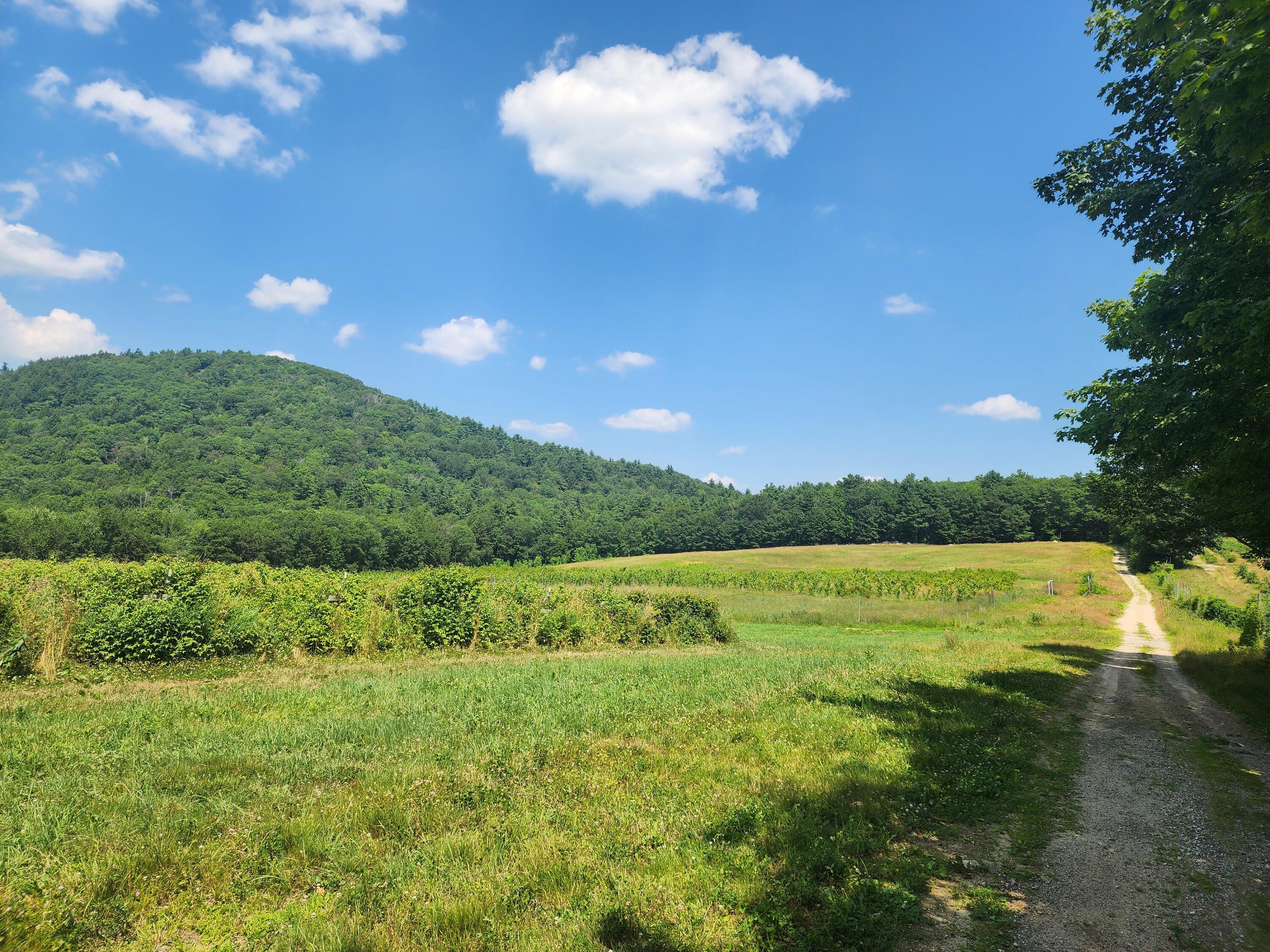 0 Sawyer Mountain Road Limerick, ME 04048 - Photo 5 of 17 20250716_141029