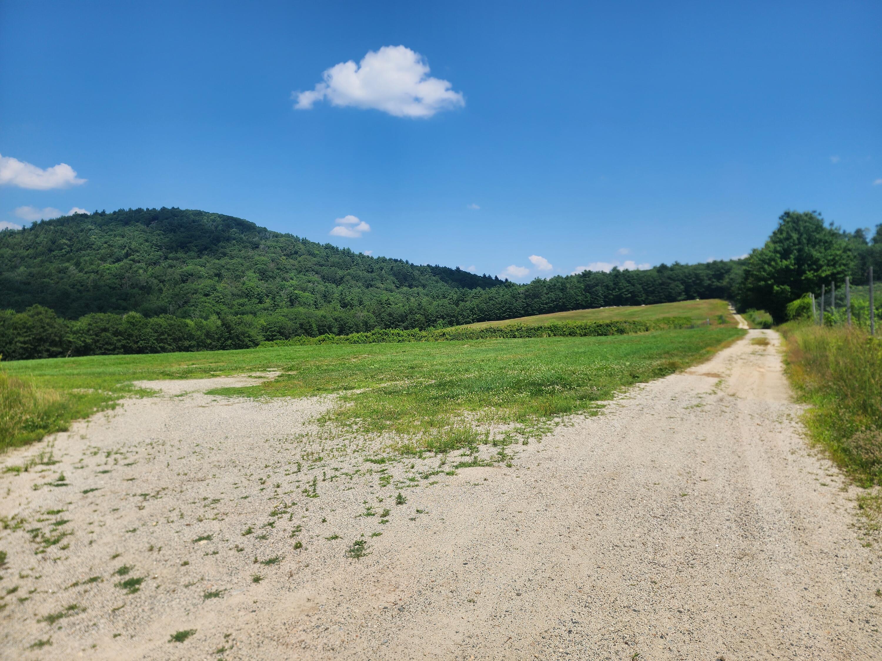 0 Sawyer Mountain Road Limerick, ME 04048 - Photo 6 of 17 20250716_135519