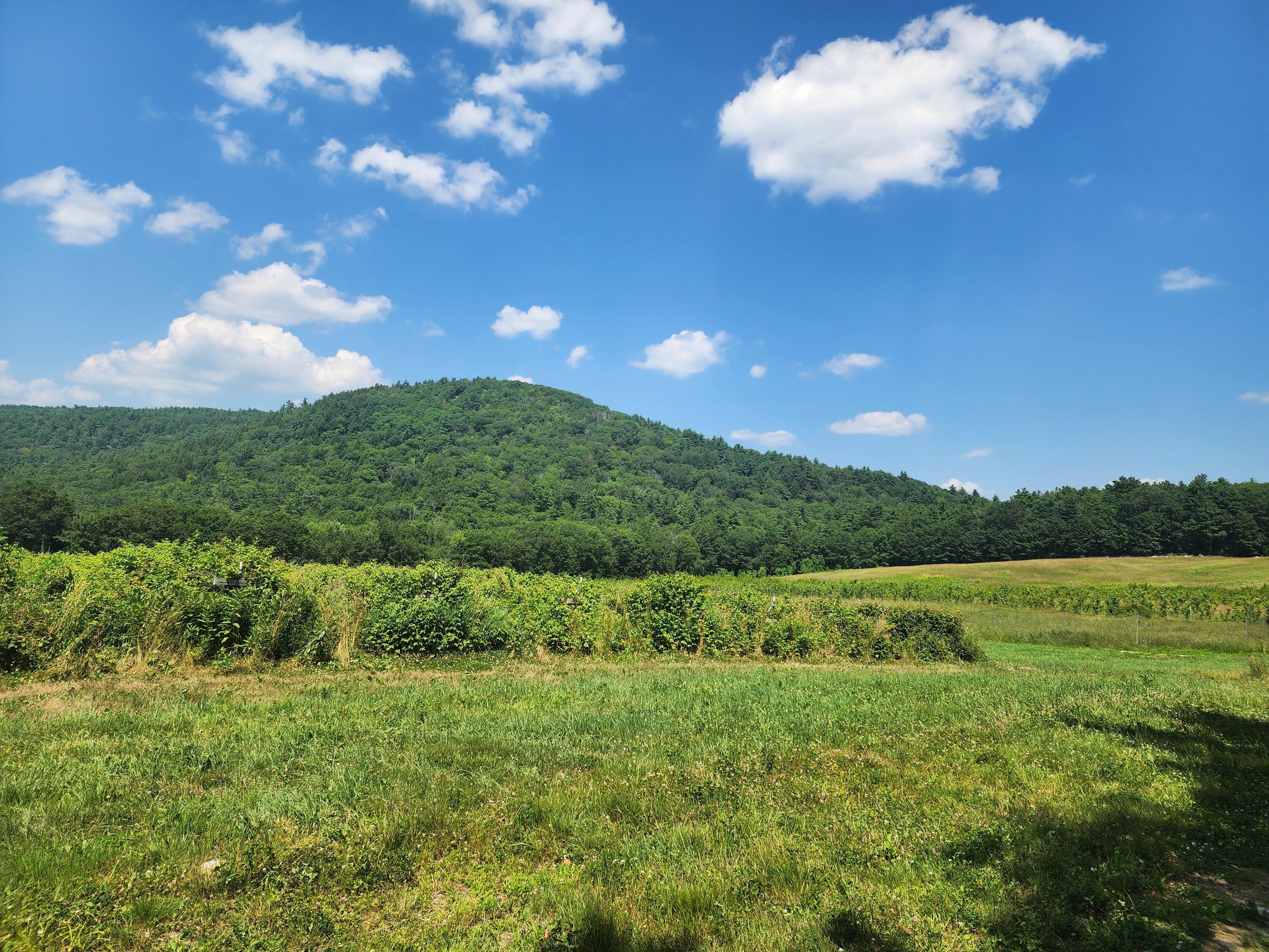 0 Sawyer Mountain Road Limerick, ME 04048 - Photo 10 of 17 20250716_141024