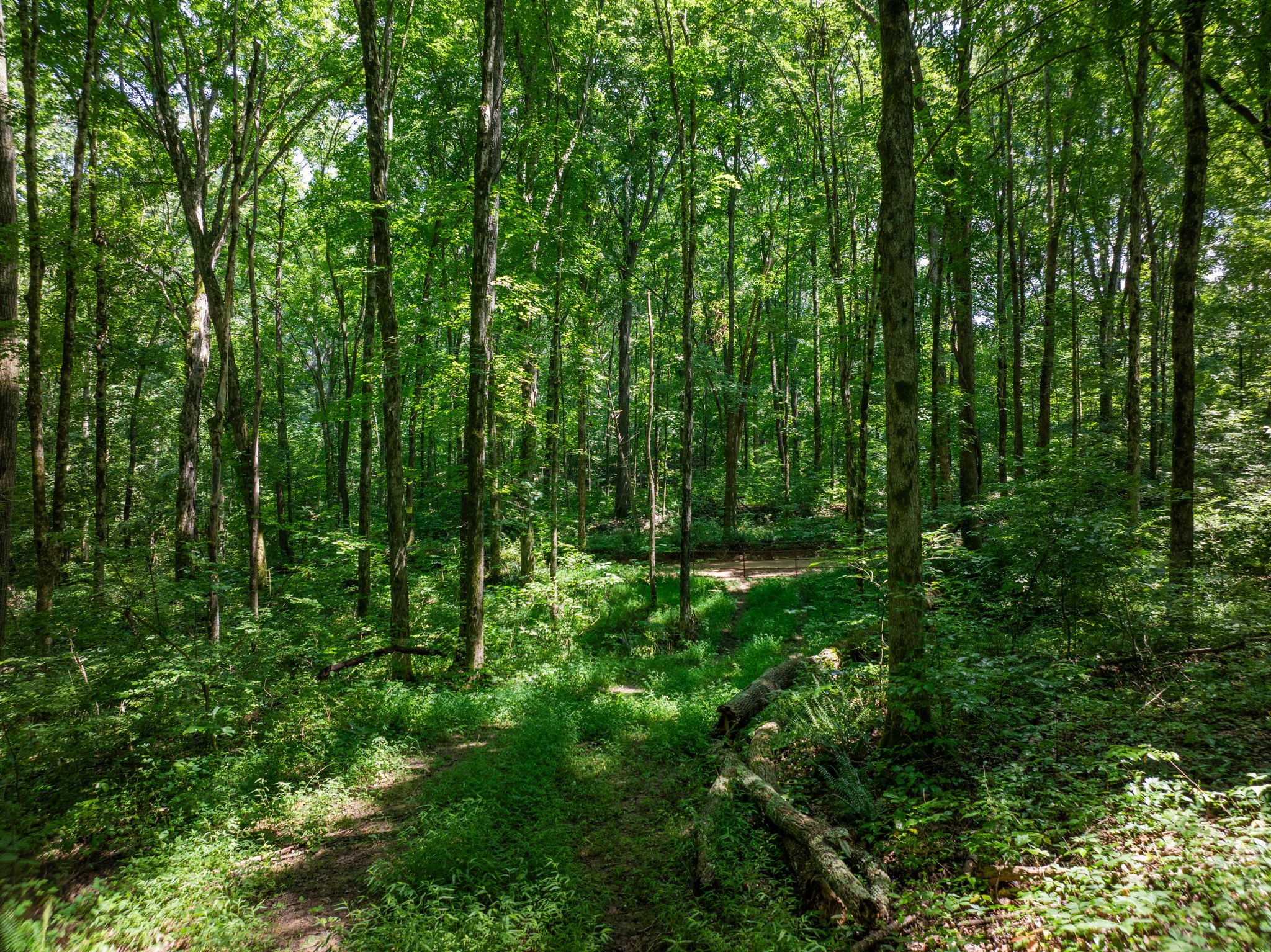 0 Barren Fork Bridge Road Bon Aqua, TN 37025 - Photo 11 of 28