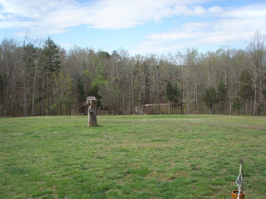 3744 Meherrin Road Meherrin, VA 23954 - Photo 17 of 40 Gallery Image 17