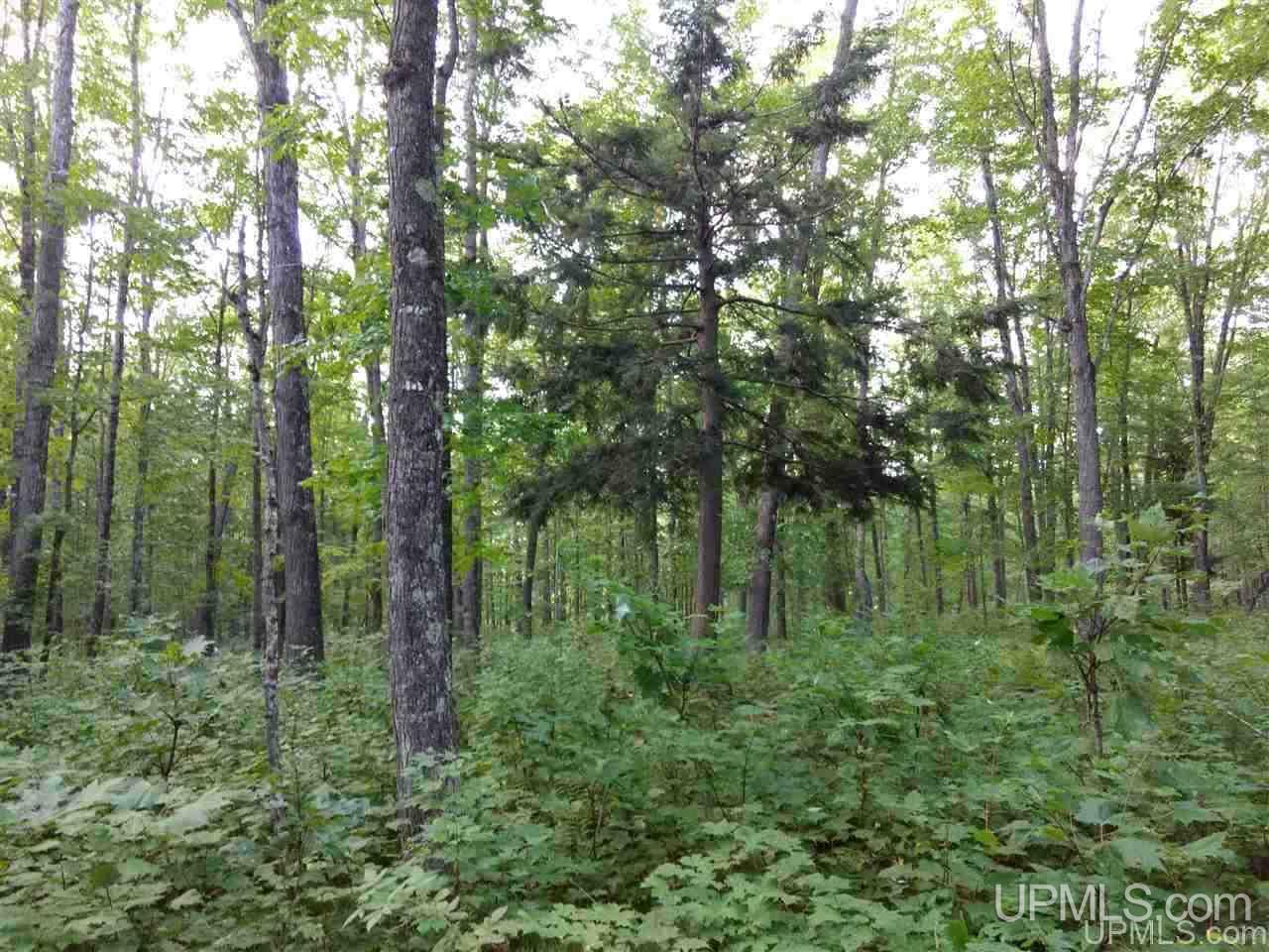 Tbd Sandstone B Road Lake Linden, MI 49945 - Photo 23 of 50