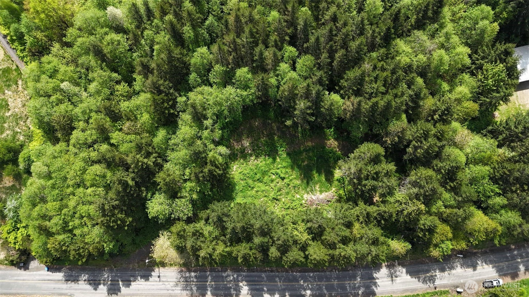 426 Highland Valley Road Morton, WA 98356 - Photo 12 of 14 a view of a forest with a tree