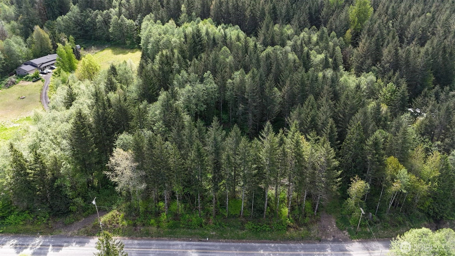 426 Highland Valley Road Morton, WA 98356 - Photo 13 of 14 a view of a forest