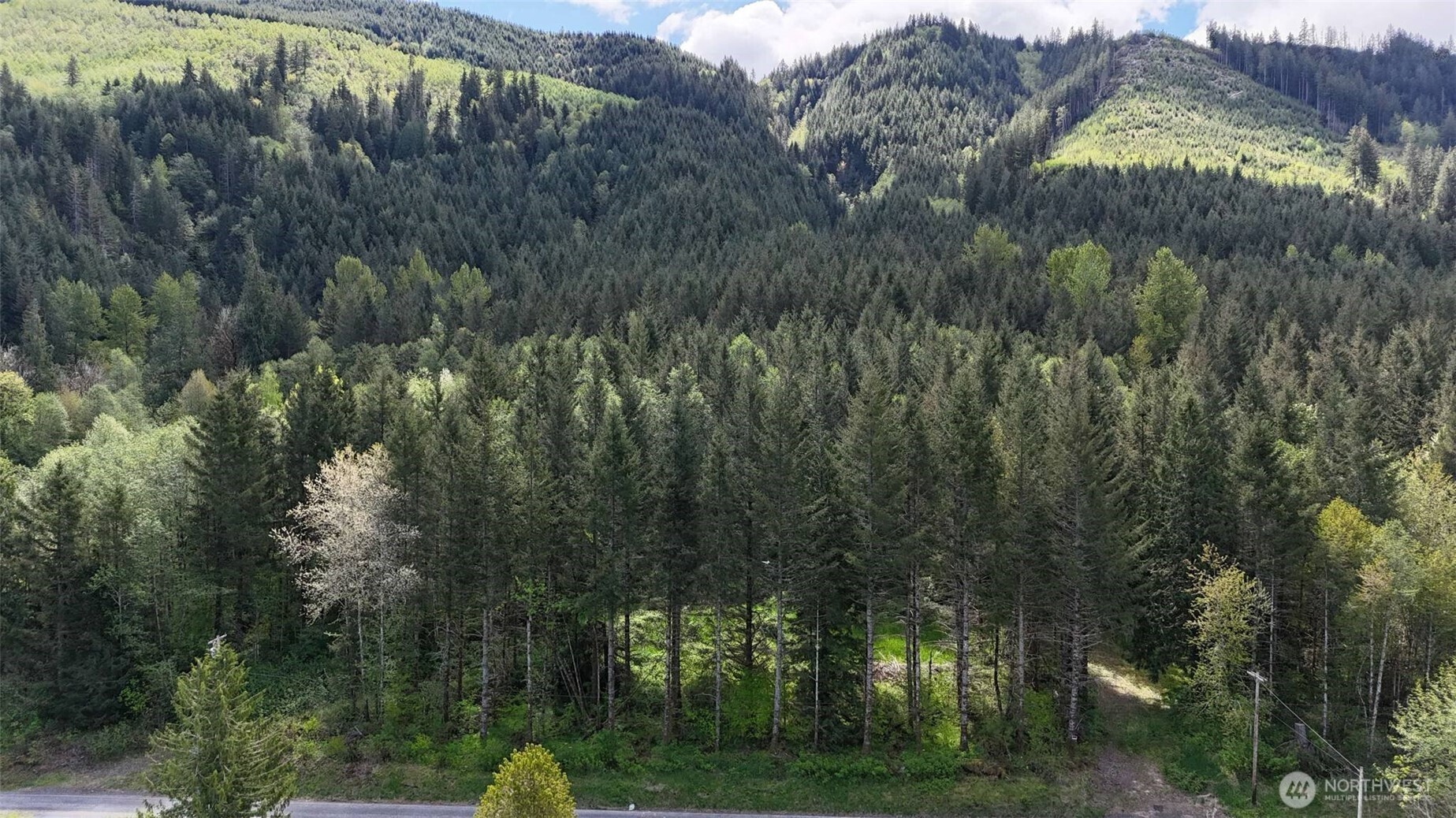 426 Highland Valley Road Morton, WA 98356 - Photo 14 of 14