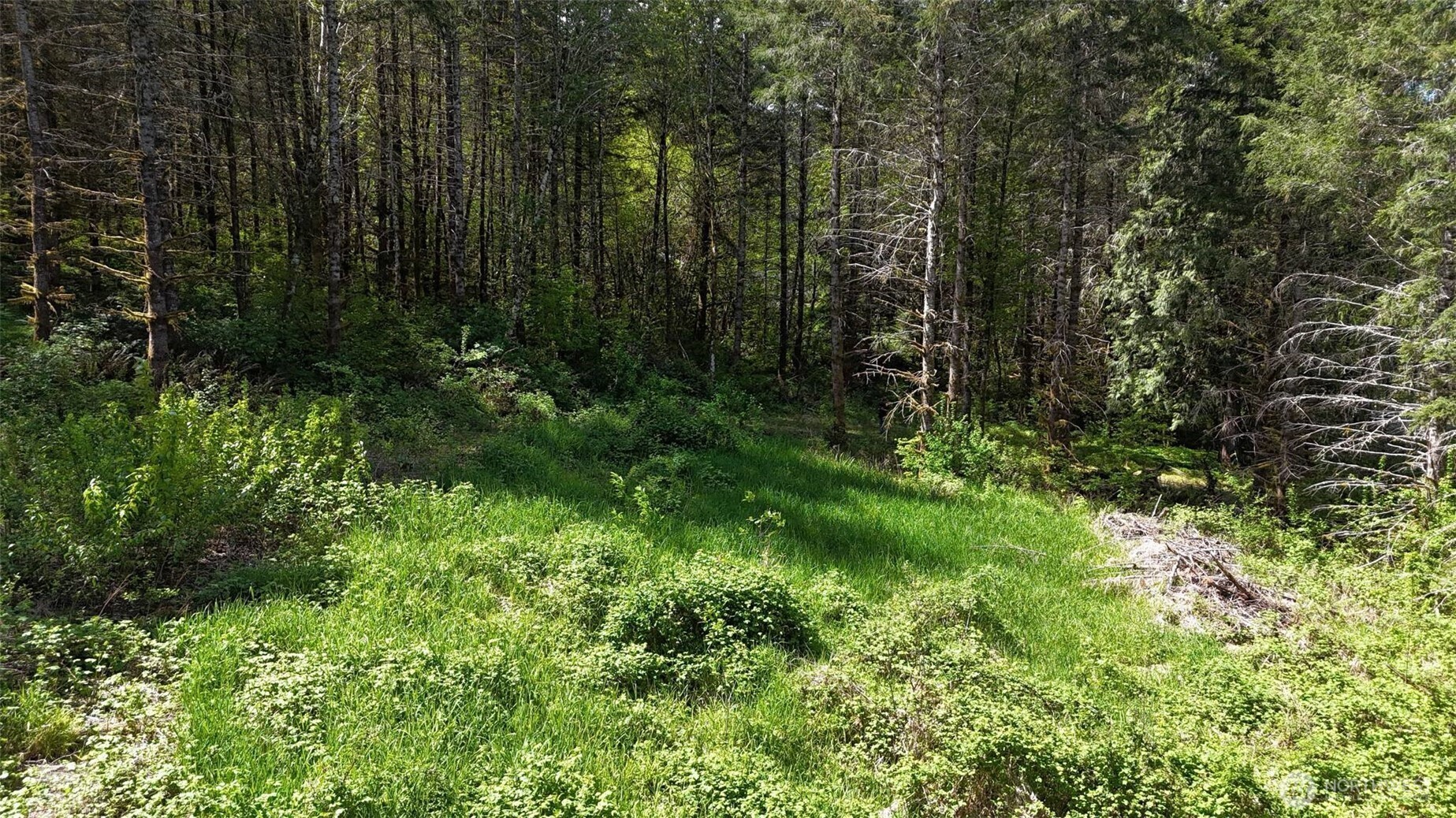 426 Highland Valley Road Morton, WA 98356 - Photo 4 of 14 a view of outdoor space and green space