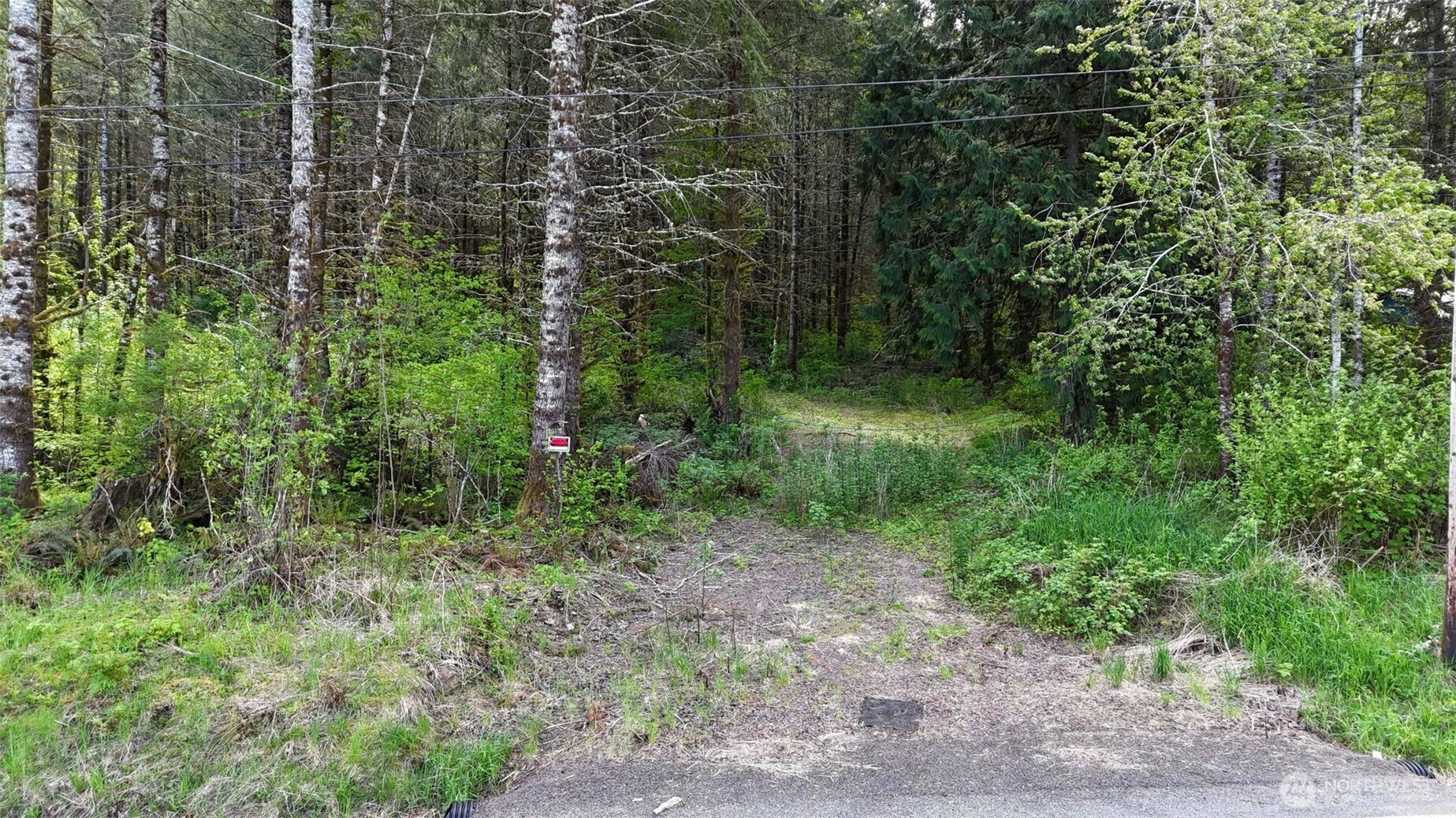 426 Highland Valley Road Morton, WA 98356 - Photo 8 of 14 a view of outdoor space and green space