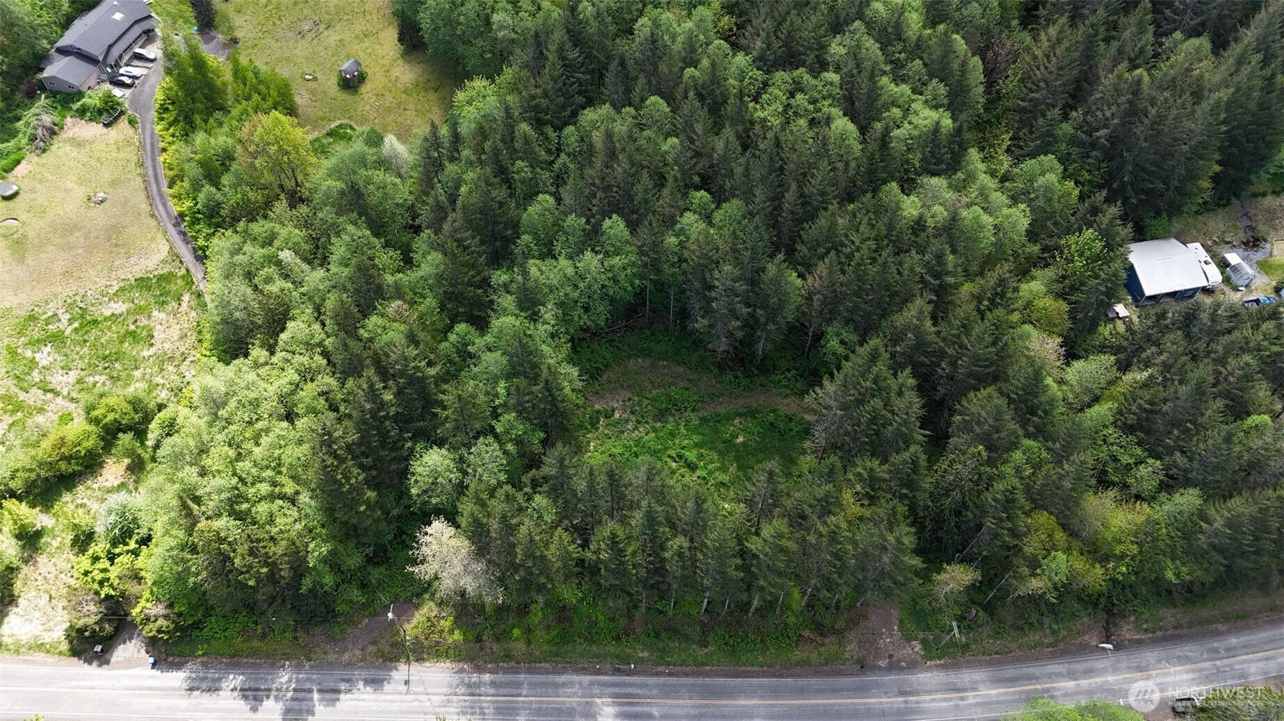 426 Highland Valley Road Morton, WA 98356 - Photo 9 of 14 a view of a forest with a tree