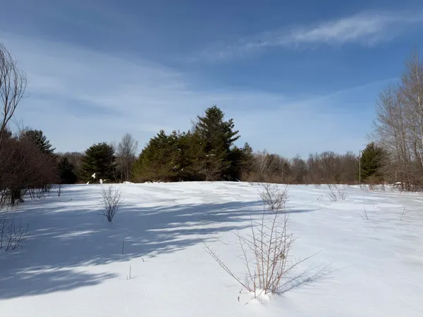 $135,000 | North Felch Avenue, White Cloud, MI 49349