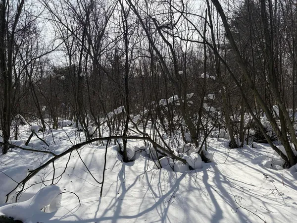 $135,000 | North Felch Avenue, White Cloud, MI 49349