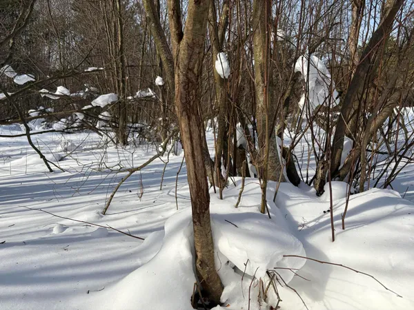 $135,000 | North Felch Avenue, White Cloud, MI 49349