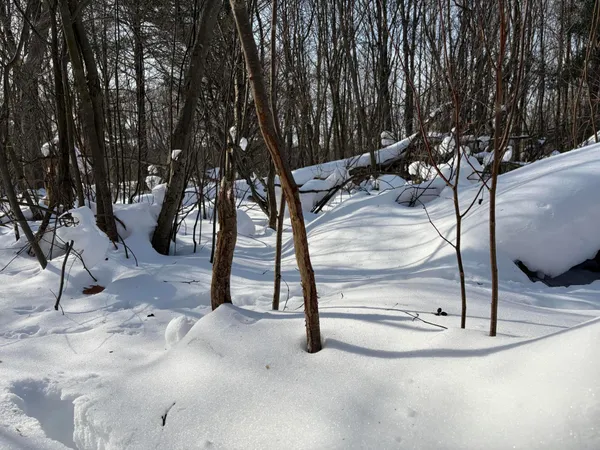 $135,000 | North Felch Avenue, White Cloud, MI 49349