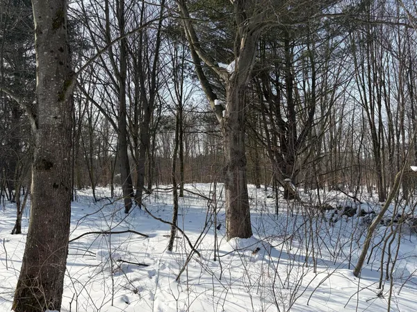 $135,000 | North Felch Avenue, White Cloud, MI 49349