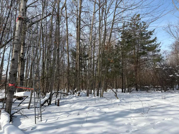 $135,000 | North Felch Avenue, White Cloud, MI 49349