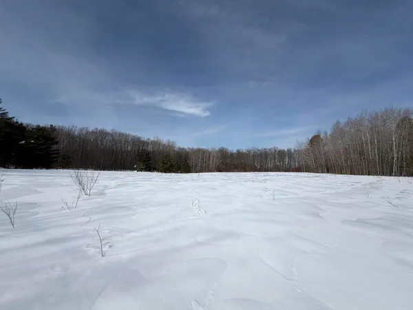 $135,000 | North Felch Avenue, White Cloud, MI 49349