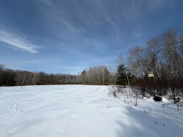 $135,000 | North Felch Avenue, White Cloud, MI 49349