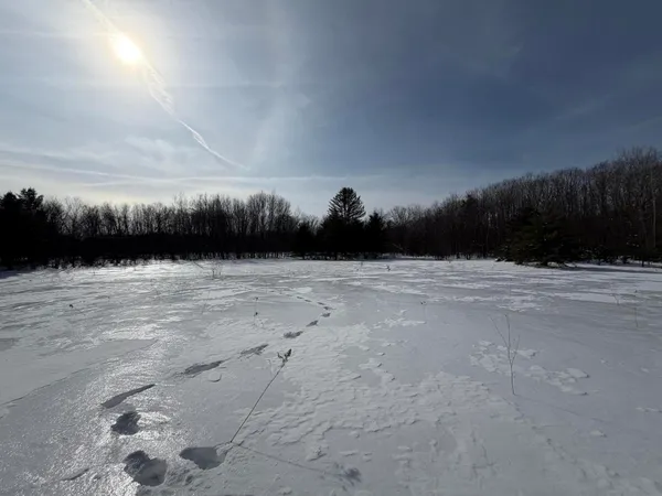$135,000 | North Felch Avenue, White Cloud, MI 49349