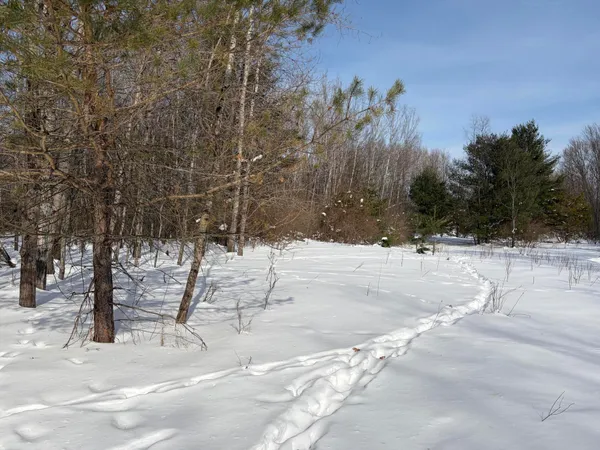$135,000 | North Felch Avenue, White Cloud, MI 49349
