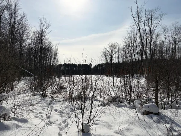 $135,000 | North Felch Avenue, White Cloud, MI 49349