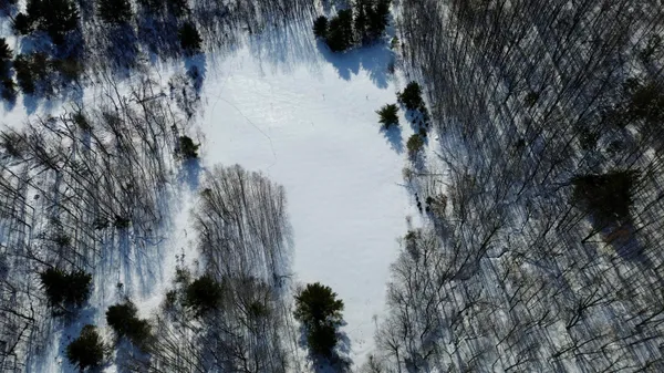 $135,000 | North Felch Avenue, White Cloud, MI 49349