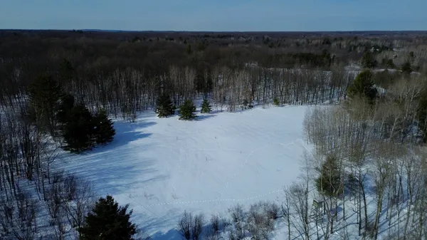 $135,000 | North Felch Avenue, White Cloud, MI 49349