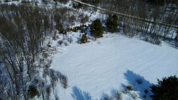 $135,000 | North Felch Avenue, White Cloud, MI 49349