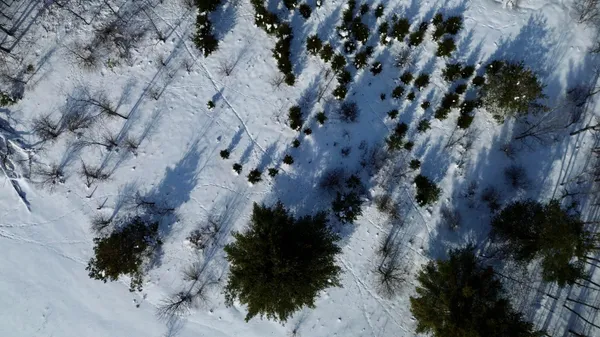 $135,000 | North Felch Avenue, White Cloud, MI 49349