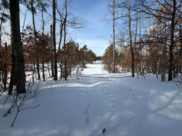 $135,000 | North Felch Avenue, White Cloud, MI 49349