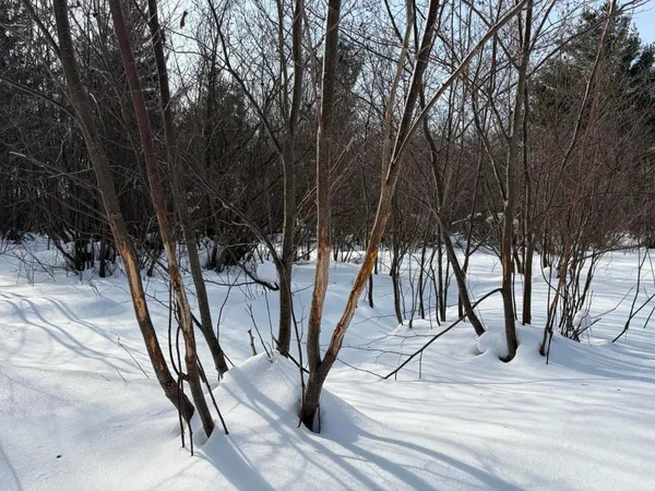 $135,000 | North Felch Avenue, White Cloud, MI 49349